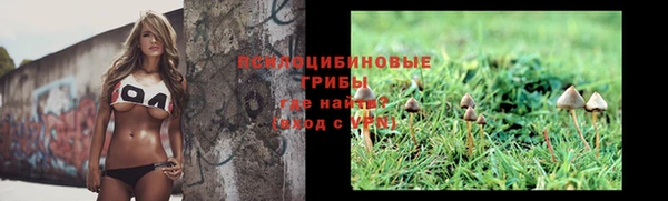 экстази Баксан