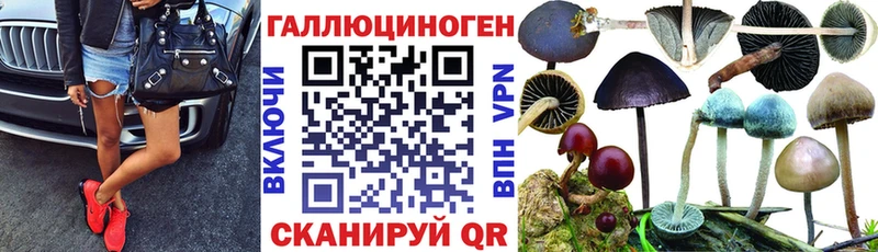 Галлюциногенные грибы мицелий  Светогорск 